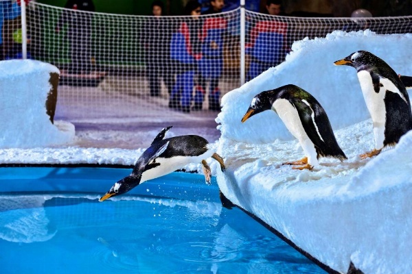 Hilton Garden Inn Dubai, Mall Avenue image 5